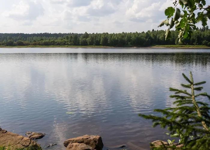 Christmas Star By Lapland Host *