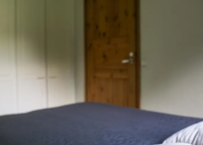 Christmas Star By Lapland Host 罗瓦涅米