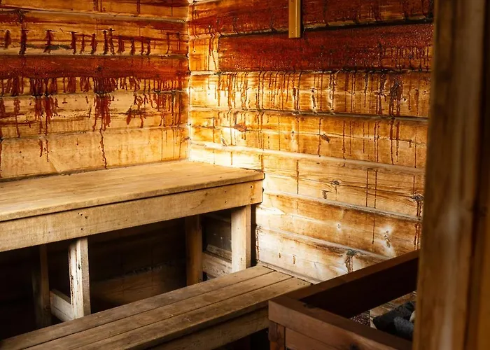 Christmas Star By Lapland Host * 罗瓦涅米