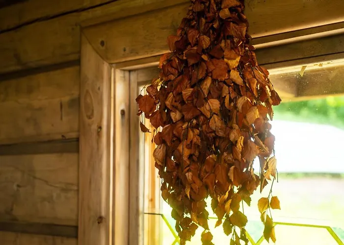 Christmas Star By Lapland Host 度假居 罗瓦涅米