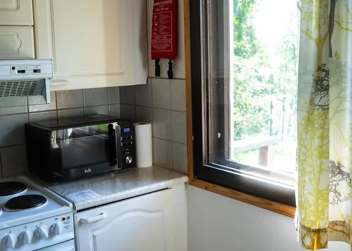 度假居 Christmas Star By Lapland Host